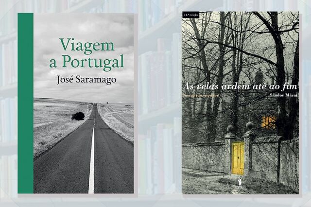 Miguel Maya: Viagens