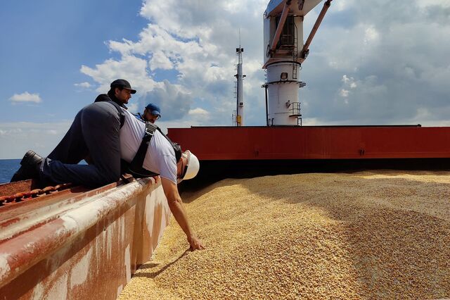 Portugal só produz 19% dos cereais que consome. Governo tem nova estratégia, mas sem metas