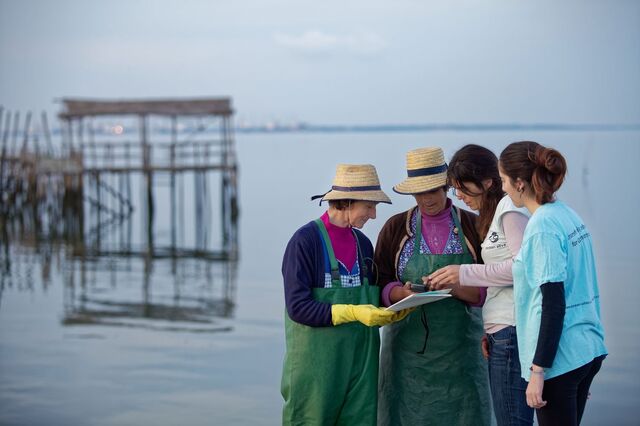 ActivoBank junta-se à Ocean Alive