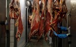 Situação “catastrófica” nas indústrias da carne