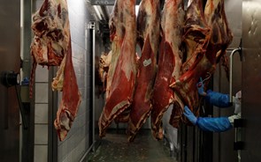 ASAE apreende 915 kg de carne estragada num estabelecimento de restauração 