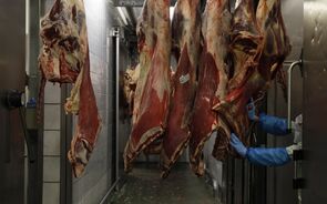 carne