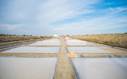 Caminhar pelas salinas em Castro Marim 