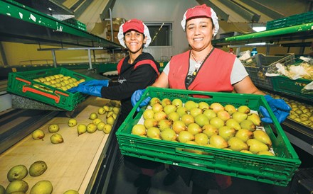 Mercadona ajusta vários preços em Portugal após descidas em Espanha