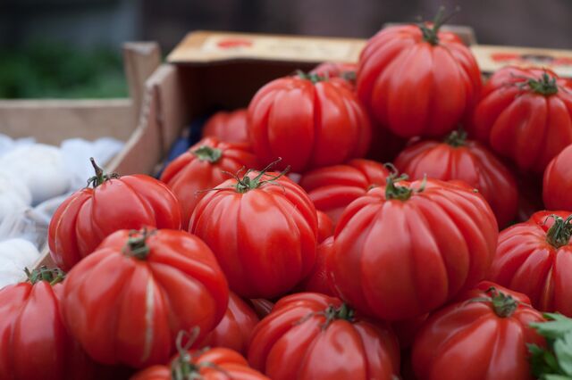 Governo alarga apoio à fatura do gás à indústria agroalimentar