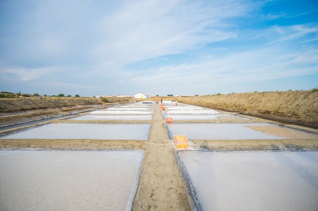 Caminhar pelas salinas em Castro Marim 