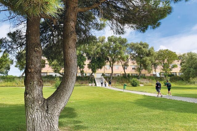 Como o Instituto Piaget está a formar os futuros gestores