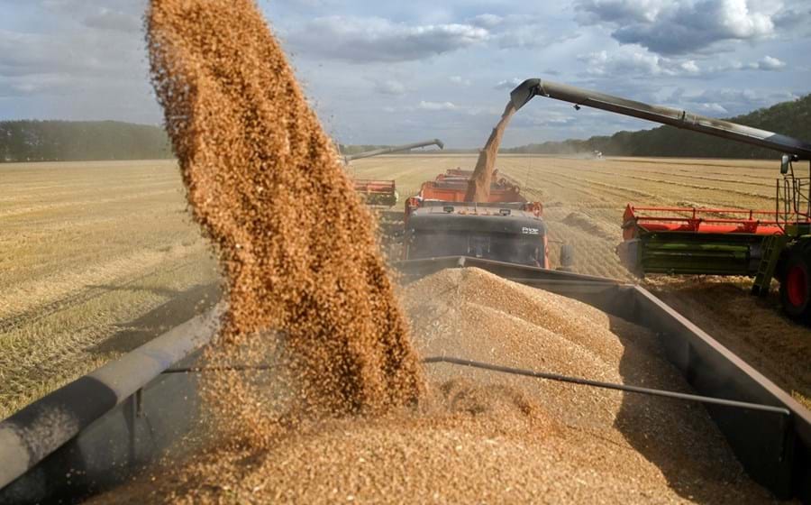 No mercado de referência de Chicago, o trigo tem recuado mas ainda está robusto no cômputo anual.