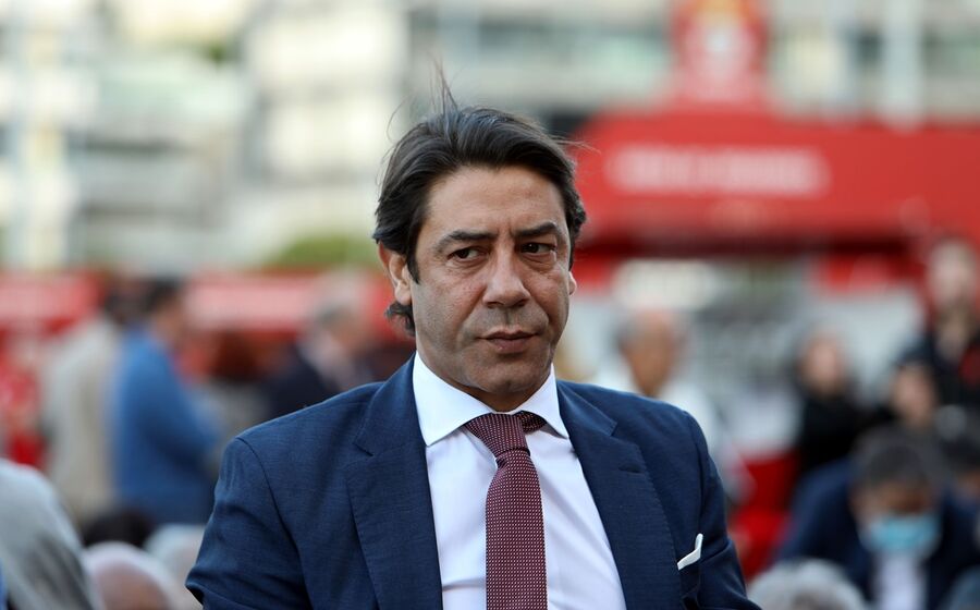 Rui Costa, presidente do SL Benfica