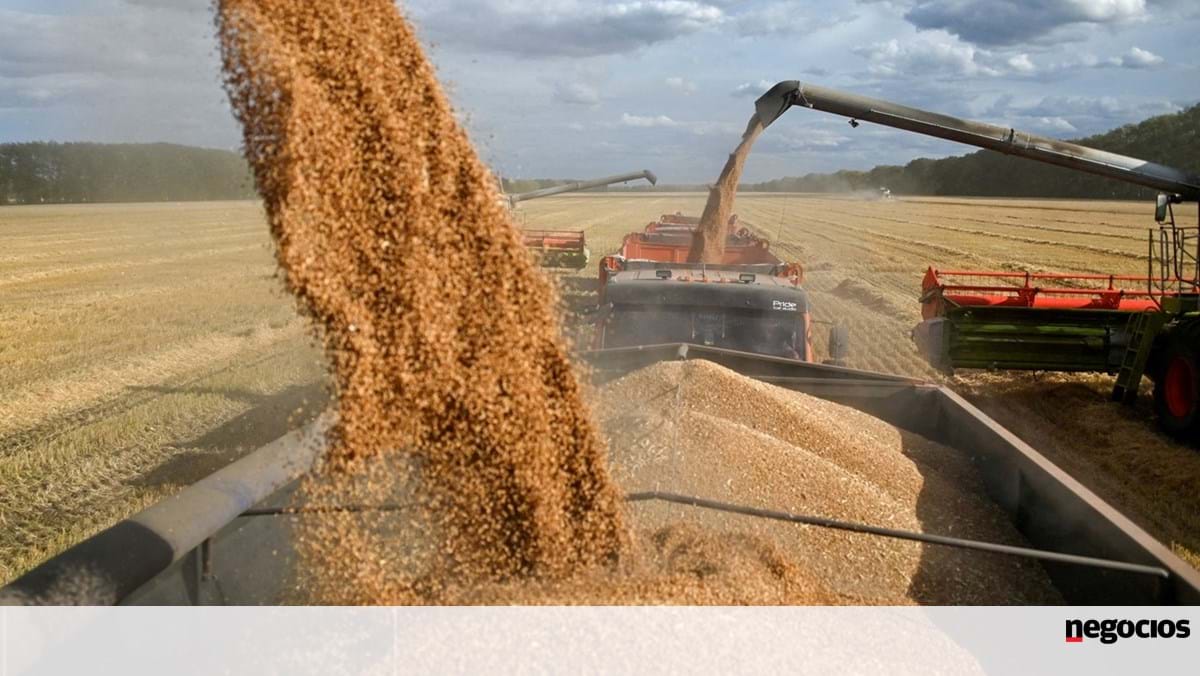 Rusia y Turquía llegan a un acuerdo de principio sobre cereales – Invasión de Ucrania