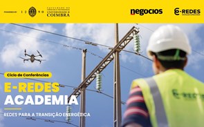 O contributo das redes de distribuição de eletricidade para a transição energética