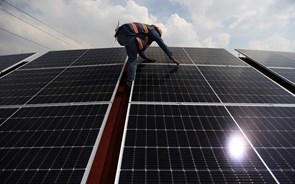 Zero contesta central solar em Ferreira do Alentejo e avaliação ambiental 
