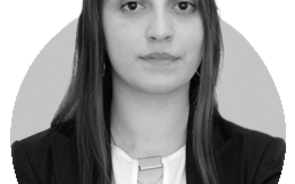 Camille de Oliveira Andrade 