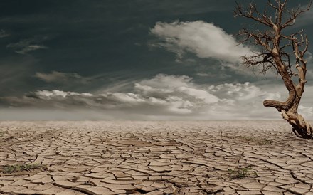 Portugal tem 6,1% de solos degradados e faltam medidas de combate à desertificação