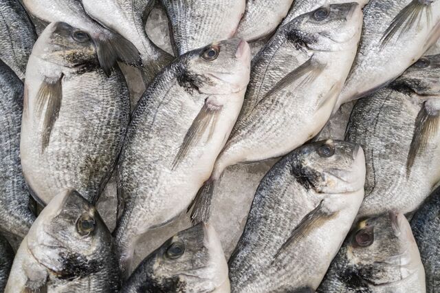 Agitação no Mar Vermelho traz 'stocks' reduzidos de pescada a Portugal