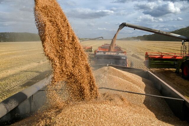UE quer reduzir receitas russas com importações de cereais e oleaginosas