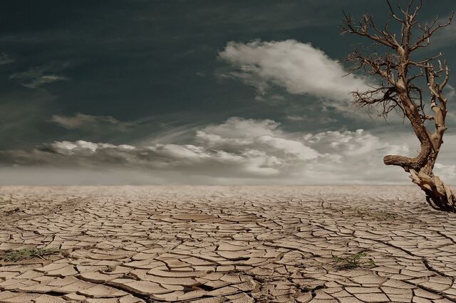 Portugal tem 6,1% de solos degradados e faltam medidas de combate à desertificação