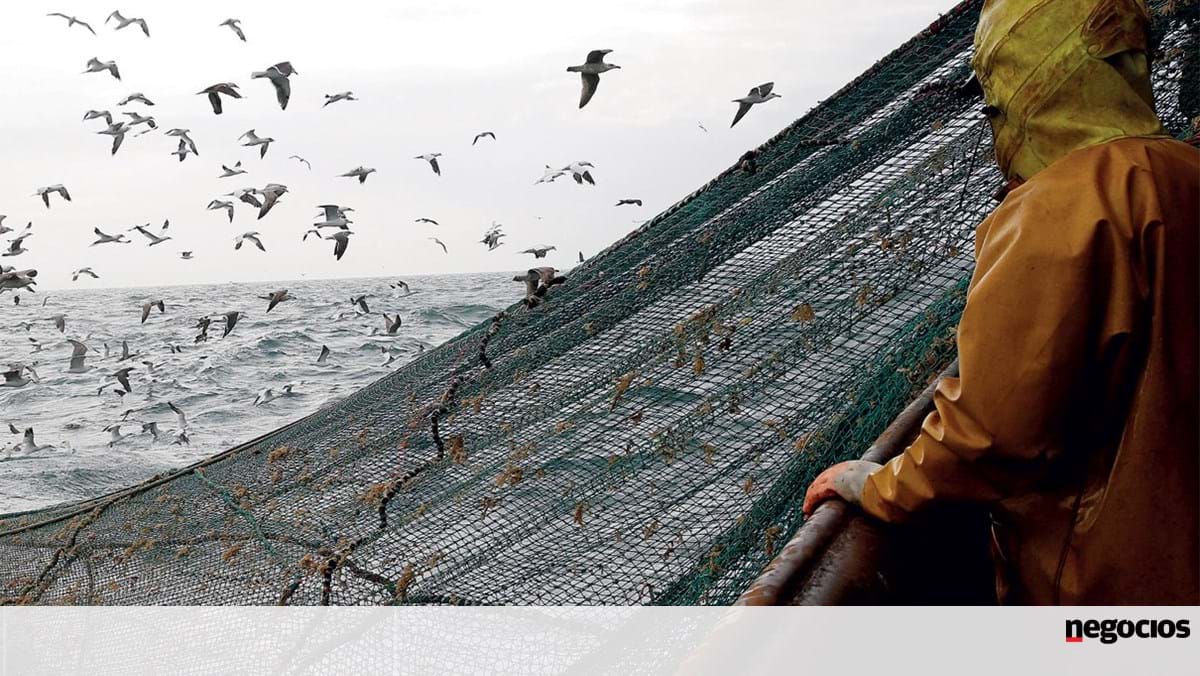 España, Portugal y Francia proponen fijar posibilidades de pesca en la UE durante varios años – Economía