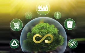 Economia circular e descarbonização encerra ciclo de conferências 