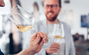 Vinhos para experimentar sem medos (incluindo um com 16,5% de álcool)