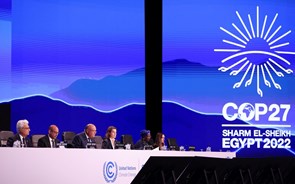 COP 27: o fundo histórico e a desilusão