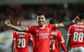 Enzo, Benfica