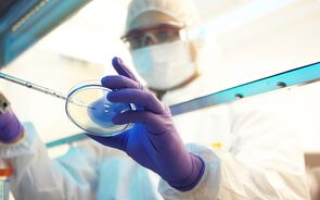 investimento, I&D, investigação, ciencia