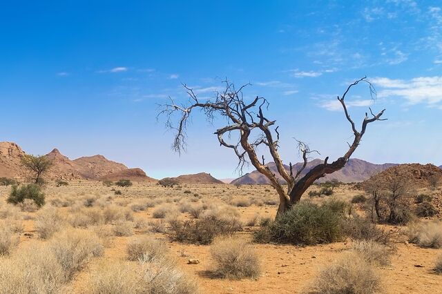 COP27 lança iniciativas para países africanos investirem na resiliência climática