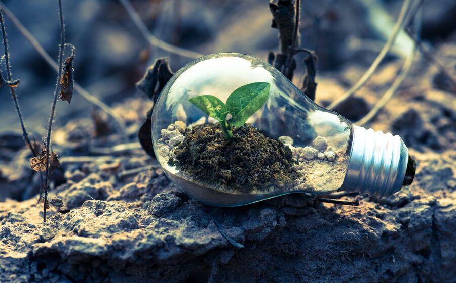 natureza ideia projeto