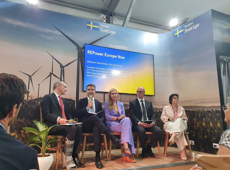 Miguel Setas, COP27