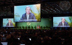 COP15: Guterres pede “Quadro de Biodiversidade ousado” para o mundo