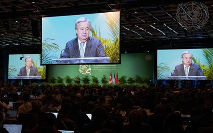 COP15: Guterres pede “Quadro de Biodiversidade ousado” para o mundo