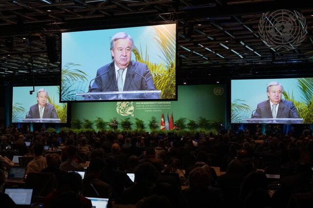 COP15: Guterres pede “Quadro de Biodiversidade ousado” para o mundo