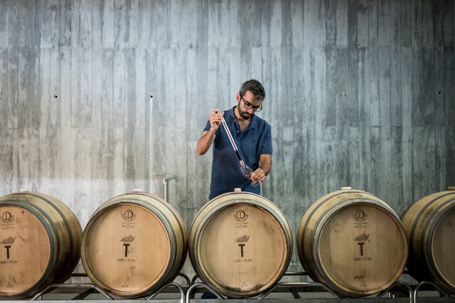Vinho, se Deus quiser