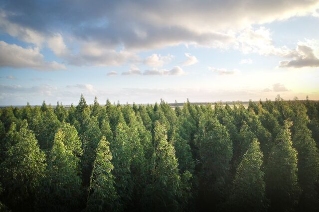 GED alarga carteira em Portugal com compra de 23% da CO2offset e 18% da AssetFloow