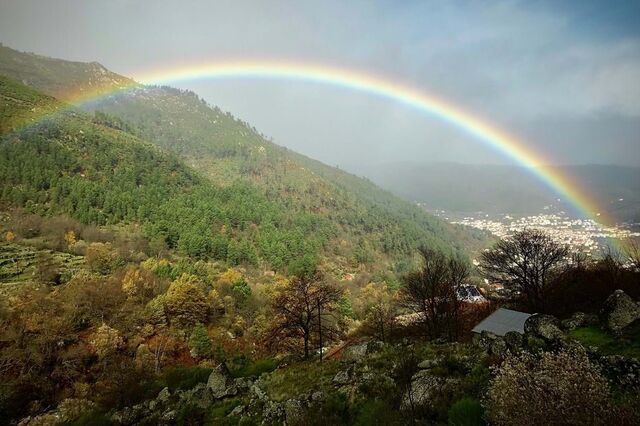Há 46 empresas em Portugal a lutar pela biodiversidade e integrar a natureza nos negócios