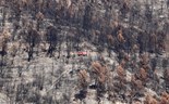 Governo tem dois milhões para empresas afetadas pelos incêndios na Serra da Estrela 