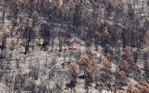 Governo tem dois milhões para empresas afetadas pelos incêndios na Serra da Estrela 