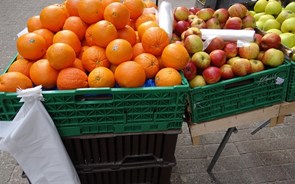 Distribuição quer travar proibição de sacos de plástico para fruta e pão