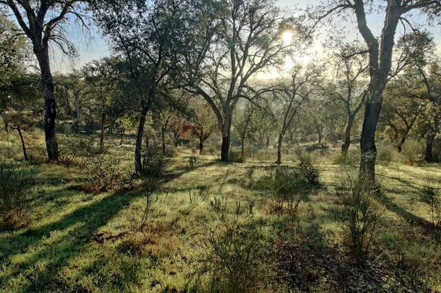 Consórcio conquista 12 milhões de euros para desenvolver estrutura de monitorização do solo