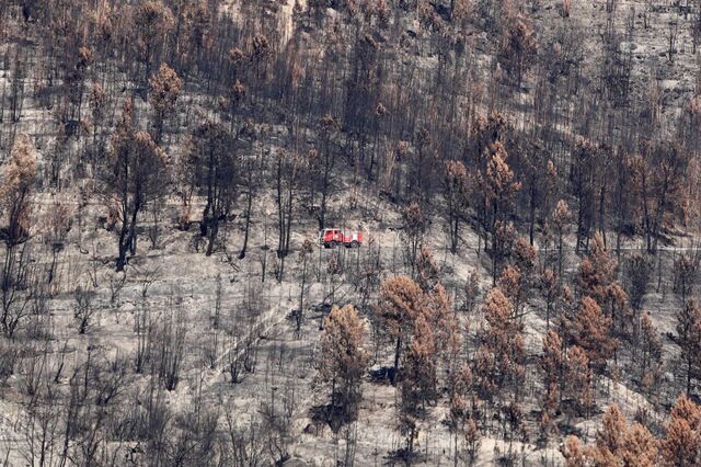 Governo tem dois milhões para empresas afetadas pelos incêndios na Serra da Estrela 