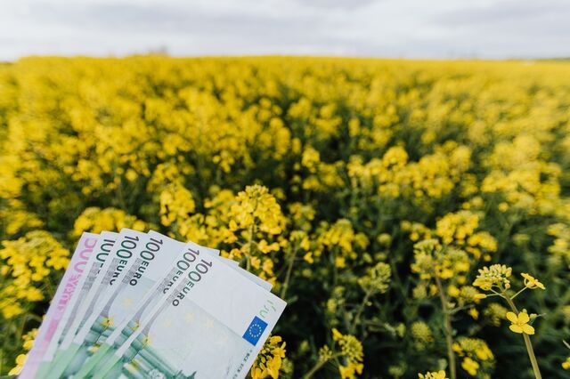 CE acrescenta mais atividades à taxonomia de sustentabilidade 