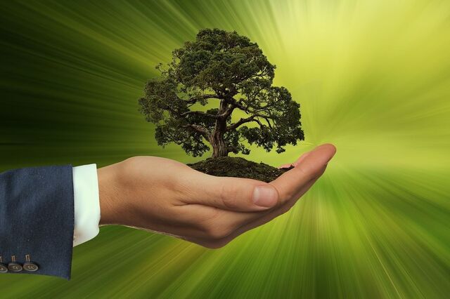 IFRS Foundation redefine conceito de sustentabilidade devido a novas normas 