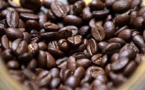 Brasil regista exportação recorde de café no primeiro trimestre