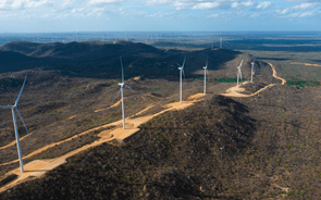 EDP Renováveis inaugura no Brasil o seu maior complexo eólico