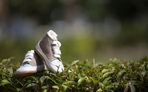 Cluster do calçado assina compromisso pela sustentabilidade 