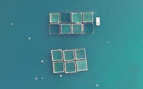 aquacultura sustentabilidade oceanos economia azul