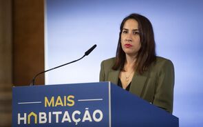 marina gonçalves