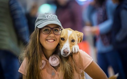 Famílias e animais de companhia  juntos na 11ª edição do Pet Festival 