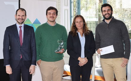 Árvores “gigantes verdes” de Lousada celebradas